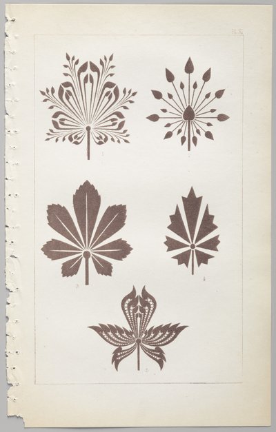 El arte del diseño decorativo: con un apéndice, dando las horas del día en que las flores se abren, publicado por Day & Son, Londres, 1862 de Christopher Dresser