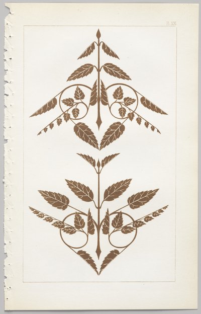 El arte del diseño decorativo: con un apéndice, dando las horas del día en que las flores se abren, publicado por Day & Son, Londres, 1862 de Christopher Dresser