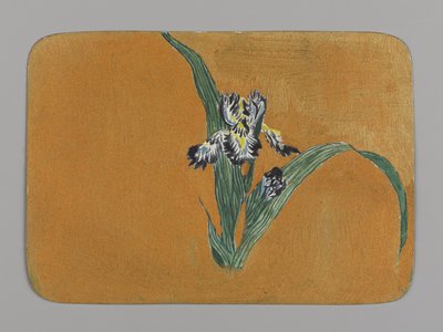 Iris de Christopher Grant La Farge