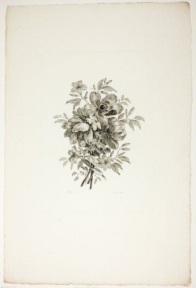 Ramo con amapolas, de la colección de diferentes ramos de flores, inventado y dibujado por Jean Pillement y grabado por P. C. Canot de Christopher Norton