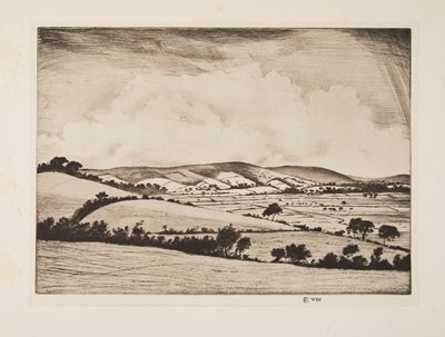Un valle en los South Downs, pub. 1925 de Christopher Richard Wynne Nevinson