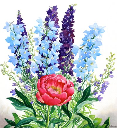 Delphiniums azules de Christopher Ryland