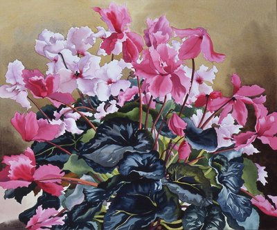 Ciclamen, 2004 de Christopher Ryland