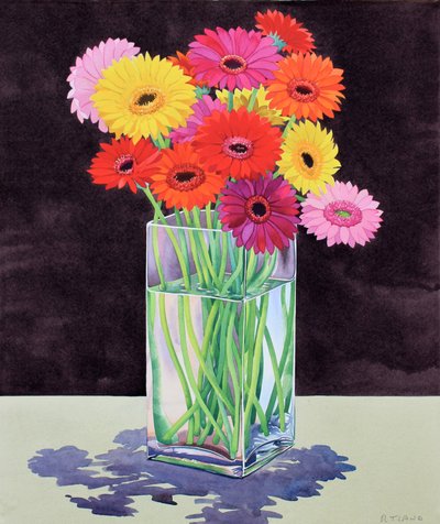Gerberas de Christopher Ryland