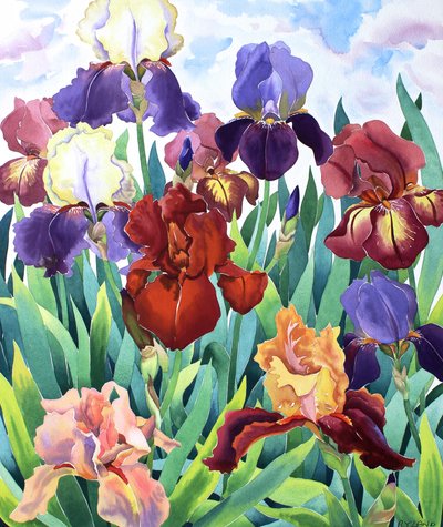 Iris de Glemsford de Christopher Ryland