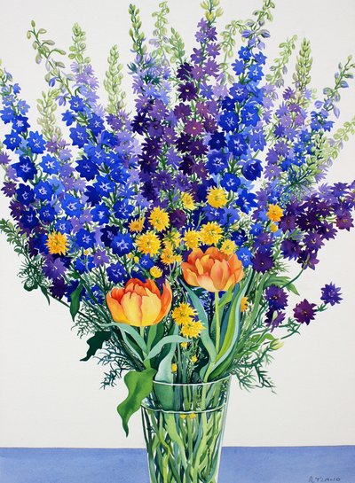 Espuela de caballero y delphiniums de Christopher Ryland