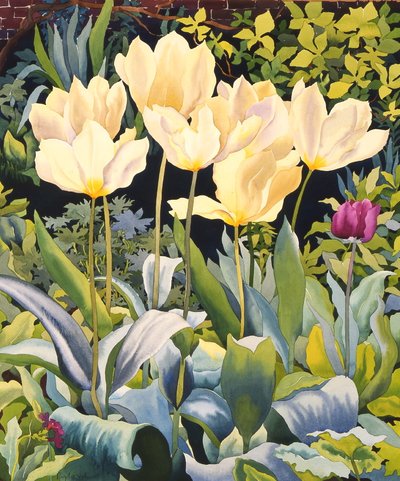 Tulipanes pálidos de Christopher Ryland