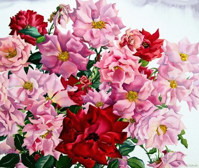 Rosas Rojas y Rosadas, 2008 de Christopher Ryland