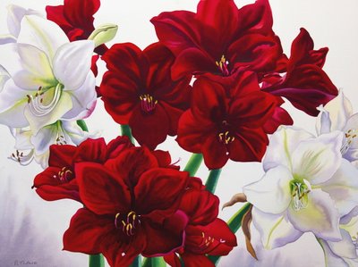 Amarilis Rojas y Blancas, 2008 de Christopher Ryland