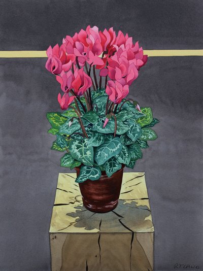 Naturaleza Muerta con Ciclámen de Christopher Ryland