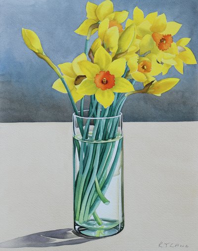 Narcisos de supermercado, 2022 (acuarela sobre papel) de Christopher Ryland