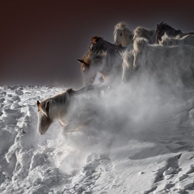 Caballos de nieve al galope de Chuanxu Ren