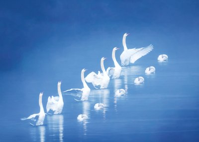  de Chuanxu Ren