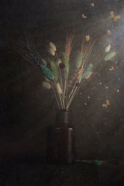  de Cicek Kiral