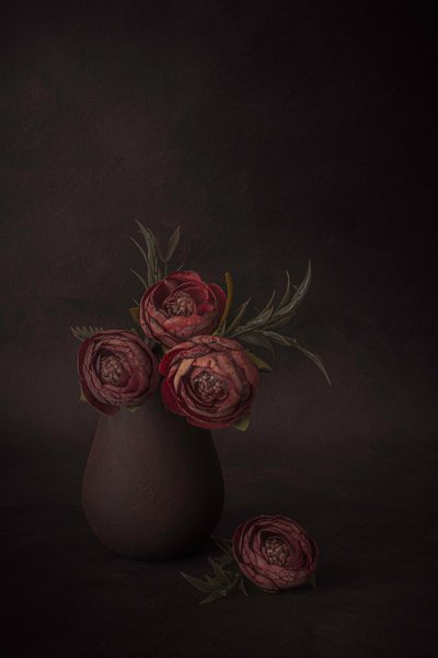  de Cicek Kiral