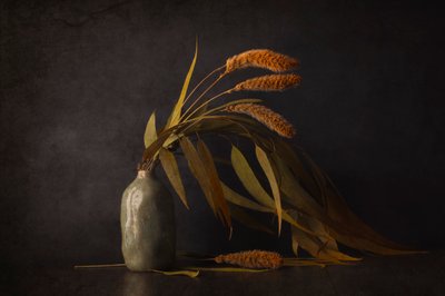  de Cicek Kiral