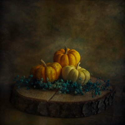  de Cicek Kiral