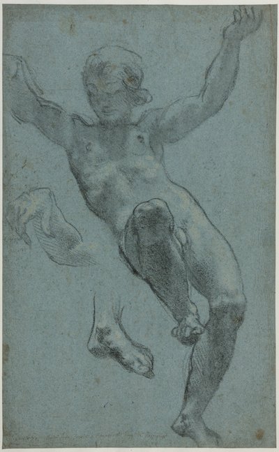 Estudio de un joven para la Logia de Cupido y Psique de Cigoli