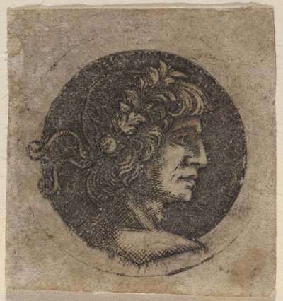 Cabeza de un Emperador Romano de Circle of Francesco Francia