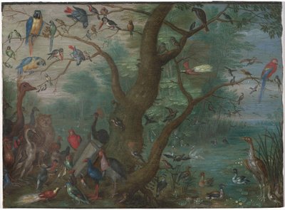 Concierto de pájaros de Circle of Jan van Kessel the Elder