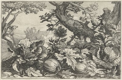 Paisaje con calabazas y carbón. Paisajes con fincas (título de la serie) de Claes Jansz. Visscher (II)