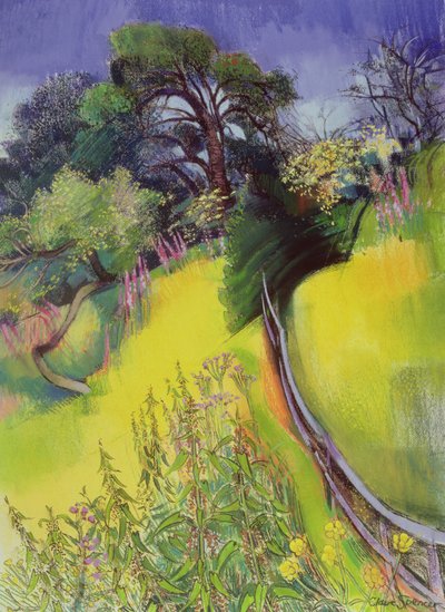 Solsticio de Verano de Claire Spencer
