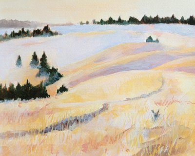  de Claire Whitehead