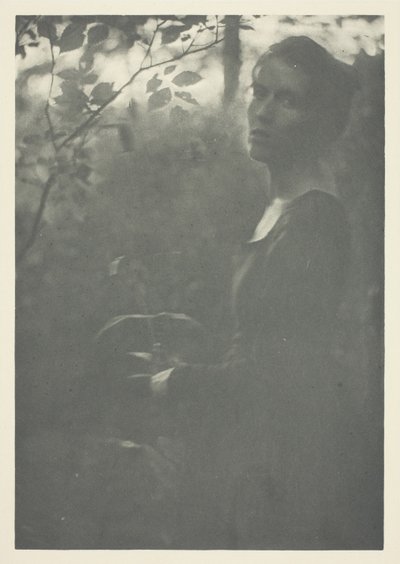 Borde del bosque de Clarence H. White