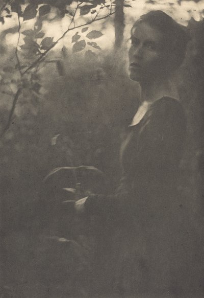 Borde del bosque, tarde, 1900 de Clarence H White