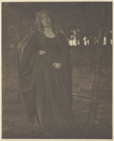 Sin título [mujer en el bosque], 1901-1905 de Clarence H White