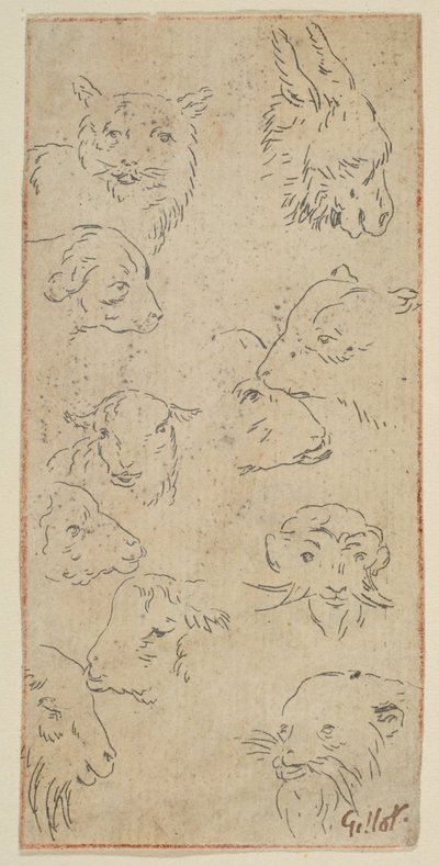 Estudio de cabezas de animales de Claude Gillot