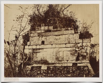 Palacio del Circo en Chichén-Itzá (bajorrelieve de tigres) de Claude Joseph Désiré Charnay