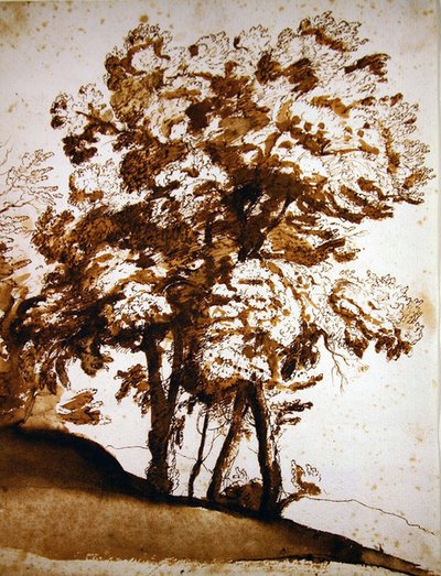 Un grupo de árboles a la luz del sol de Claude Lorrain