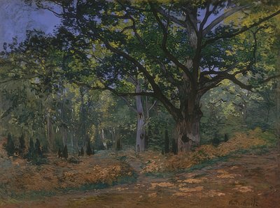 Roble de Bodmer en el bosque de Fontainebleau. 1865 de Claude Monet