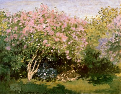 Lila al sol, 1872-1873 de Claude Monet
