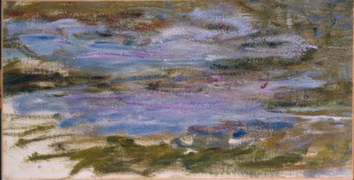 Nenúfares de Claude Monet