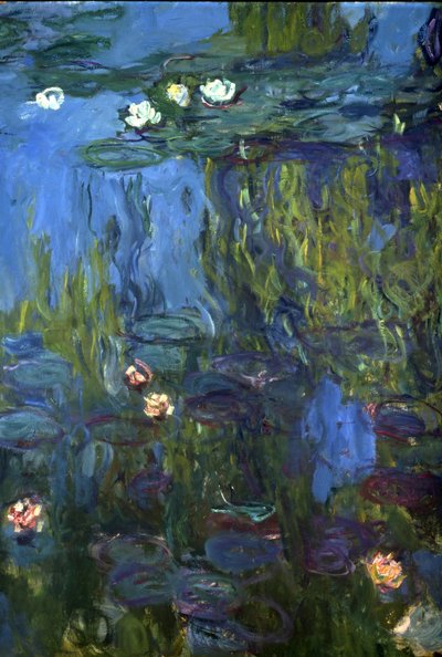 Nenúfares, 1914-17 de Claude Monet