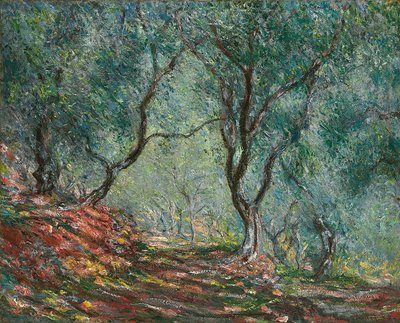 Olivos en el jardín Moreno, 1884 de Claude Monet