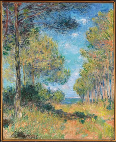 Camino de pinos en Varengeville; Allee de sapins Varengeville, 1882 de Claude Monet