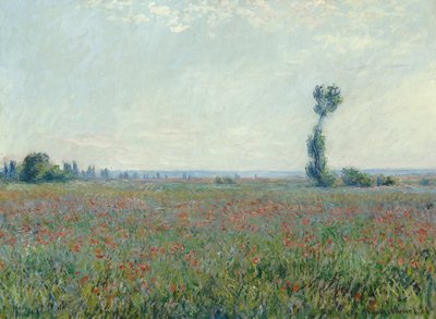 Campo de amapolas, 1881 de Claude Monet