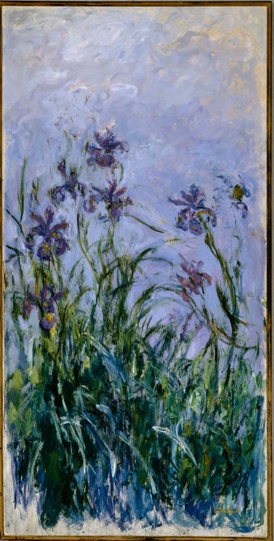 Iris Púrpuras, 1914-17 de Claude Monet