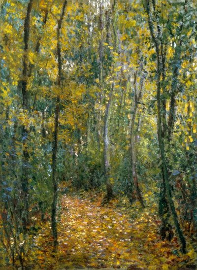 Soto de Claude Monet