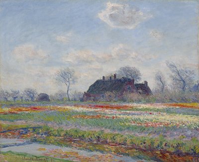 Campos de tulipanes en Sassenheim, 1886 de Claude Monet