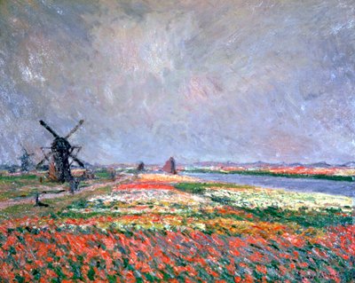 Campos de tulipanes cerca de Leiden, 1886 de Claude Monet