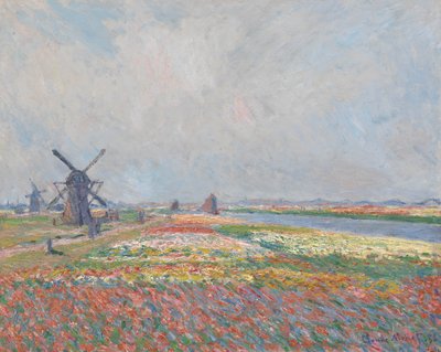 Campos de tulipanes cerca de La Haya de Claude Monet