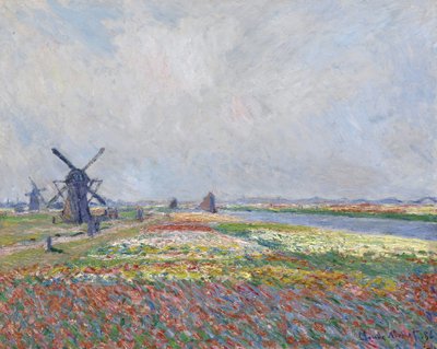 Campos de tulipanes cerca de La Haya de Claude Monet
