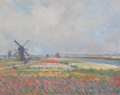 Campos de tulipanes cerca de La Haya de Claude Monet