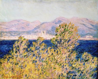 Vista del Cap d