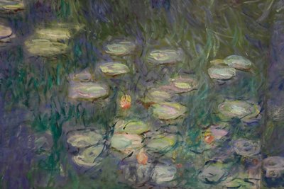 Nenúfares (óleo sobre lienzo) de Claude Monet