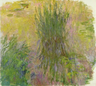 Nenúfares de Claude Monet